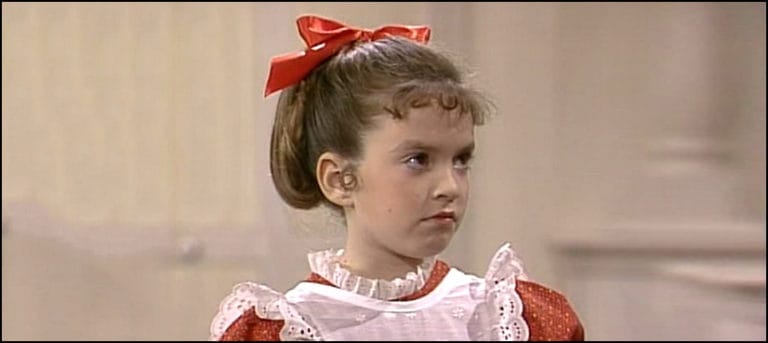 what happened to small wonder show